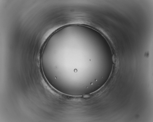 X0000114191468200910231309