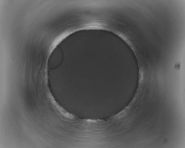 X0000114191469200910231309