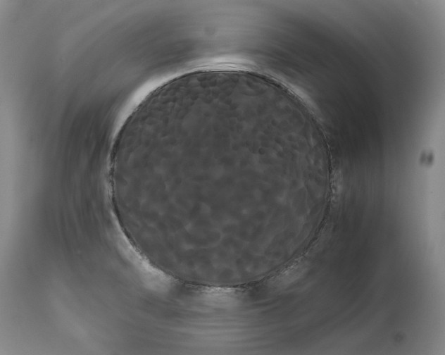 X0000114191470200910231309
