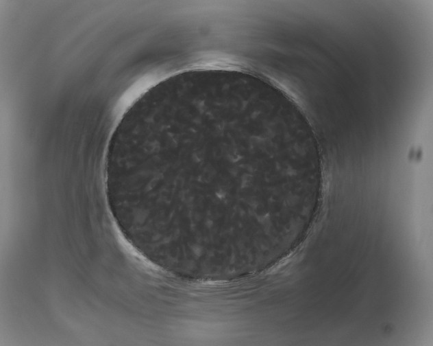 X0000114191471200910231309
