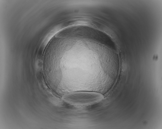 X0000114191473200910231309
