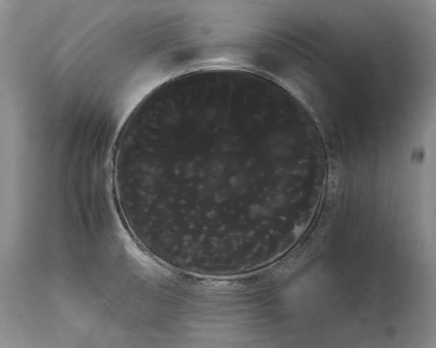 X0000114191474200910231309
