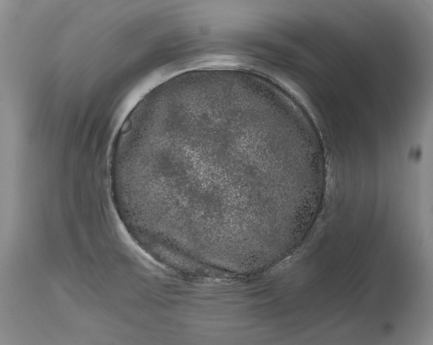 X0000114191475200910231309