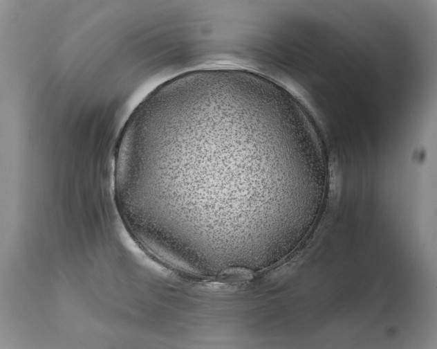 X0000114191476200910231309