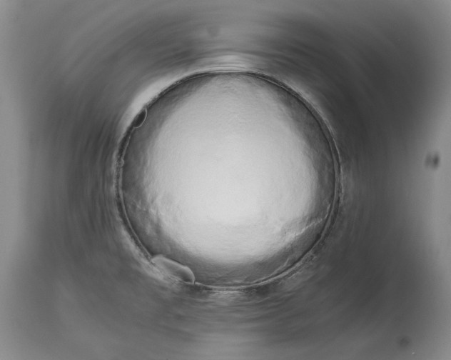 X0000114191477200910231309
