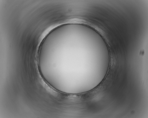 X0000114191478200910231309