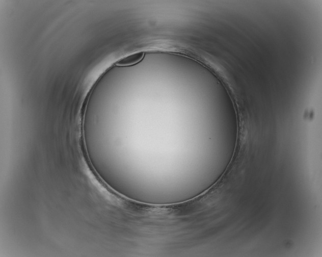 X0000114191479200910231309