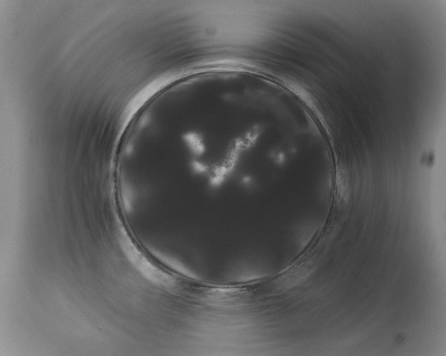 X0000114191482200910231309