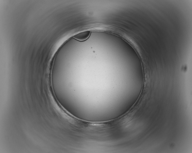 X0000114191483200910231309