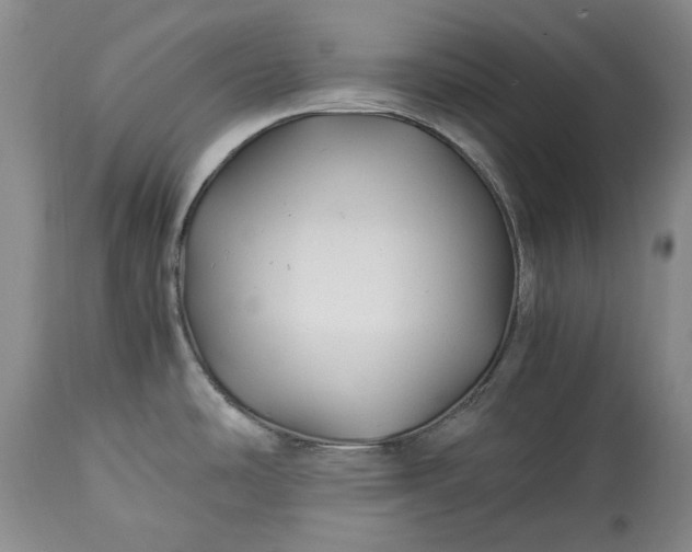 X0000114191486200910231309