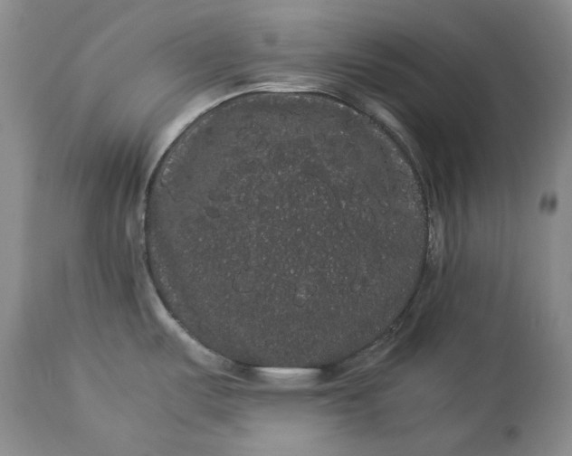 X0000114191487200910231309