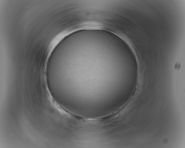 X0000114191488200910231309