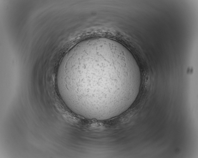 X0000114191489200910231309