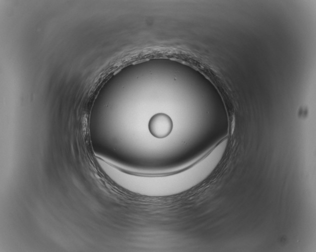 X0000114191492200910231309