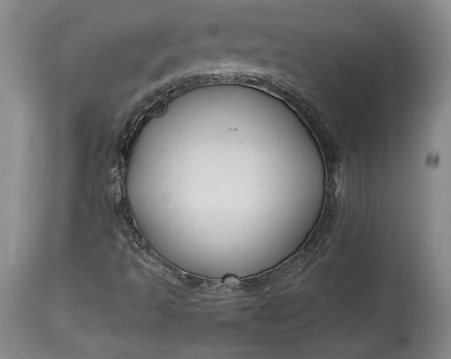 X0000114191493200910231309