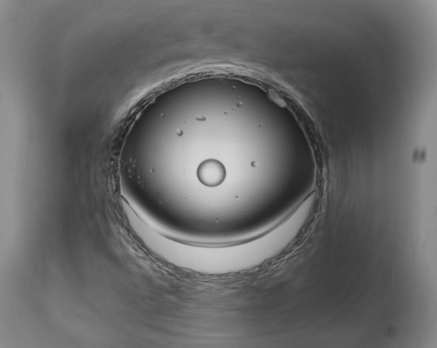 X0000114191496200910231309