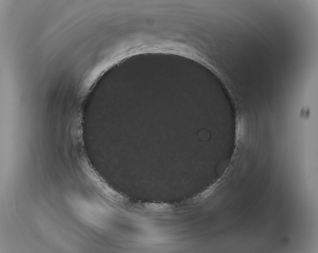 X0000114191498200910231309