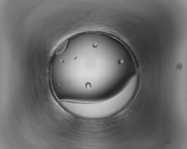 X0000114191500200910231309