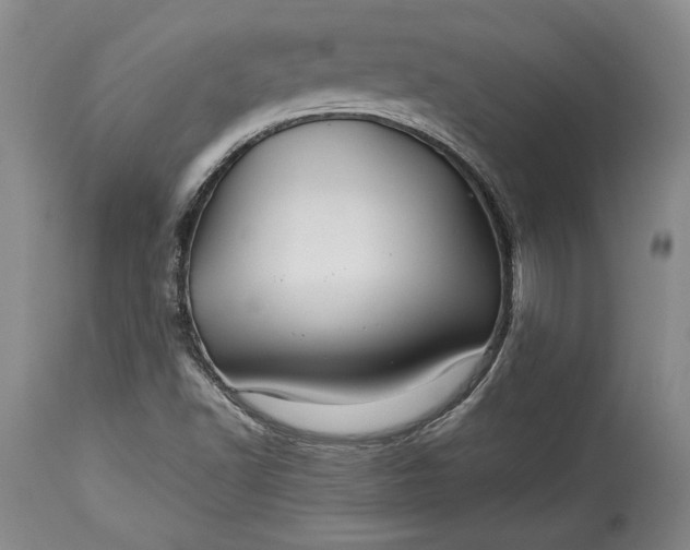 X0000114191502200910231309