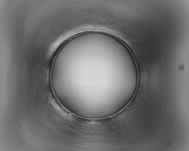 X0000114191503200910231309