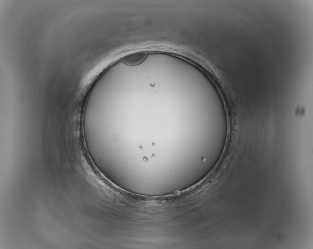 X0000114191504200910231309