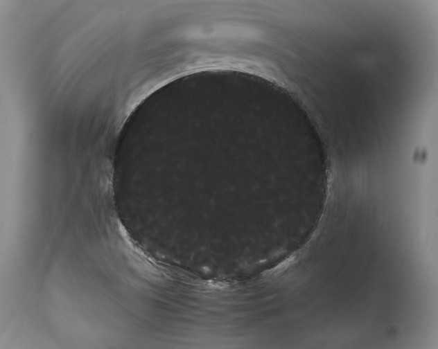 X0000114191505200910231309