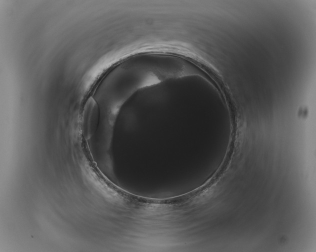X0000114191506200910231309