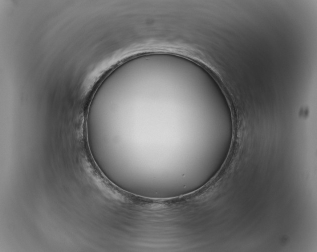 X0000114191507200910231309