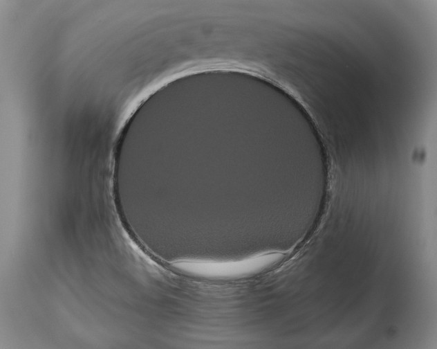 X0000114191508200910231309