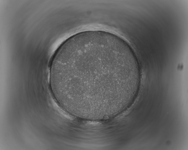 X0000114191509200910231309