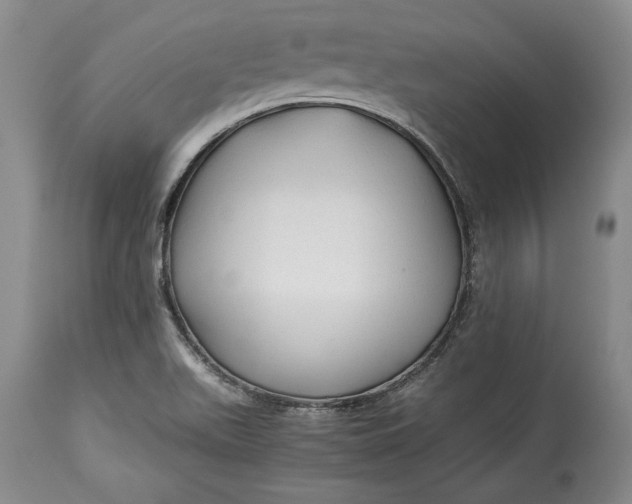 X0000114191511200910231309