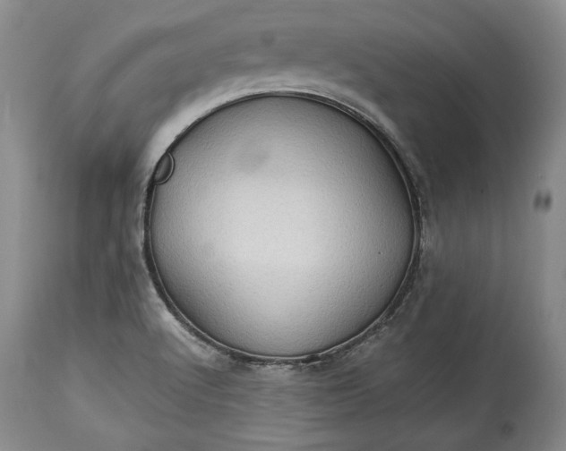 X0000114191512200910231309