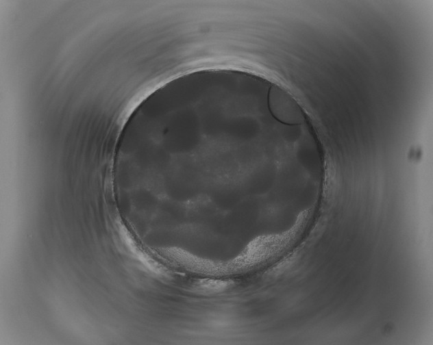 X0000114191513200910231309