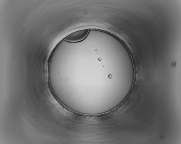 X0000114191516200910231309