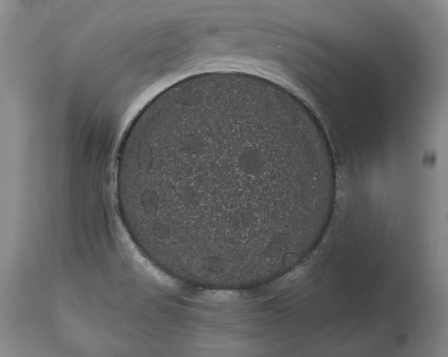 X0000114191517200910231309