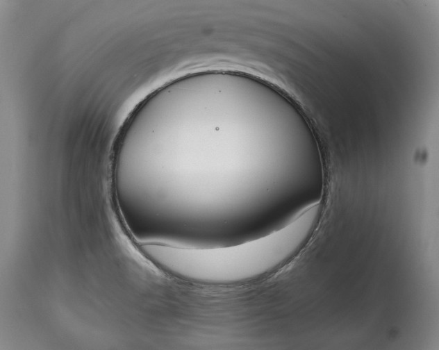 X0000114191518200910231309
