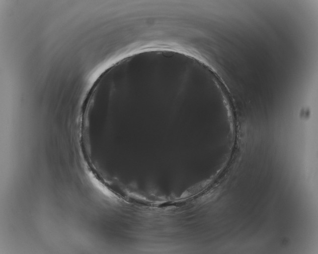 X0000114191519200910231309
