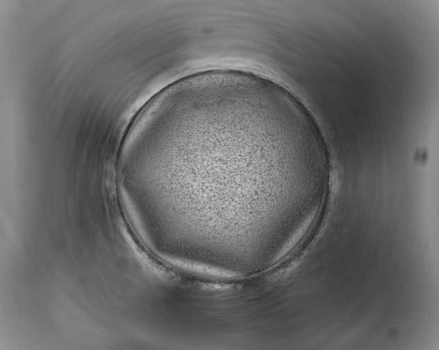X0000114191521200910231309