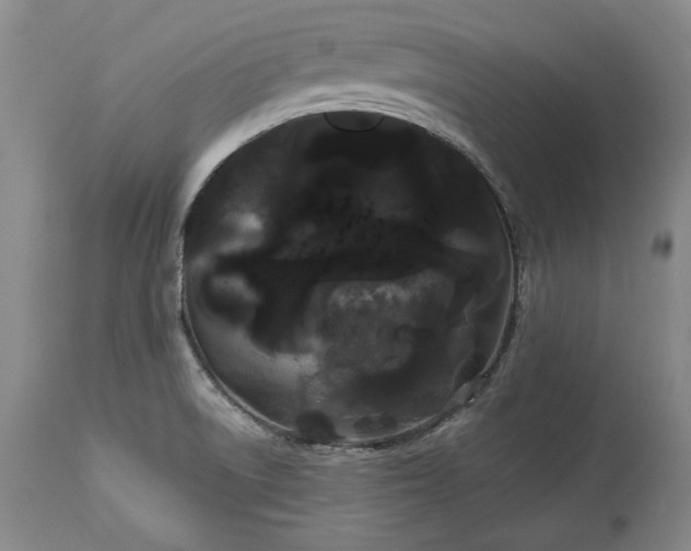 X0000114191522200910231309