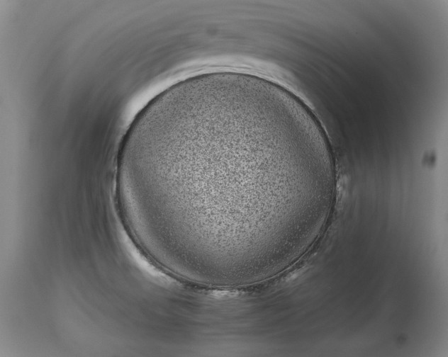 X0000114191523200910231309