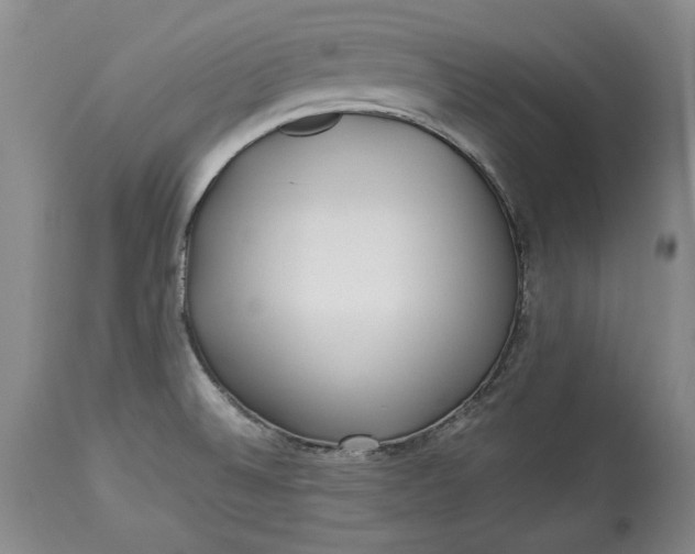 X0000114191524200910231309