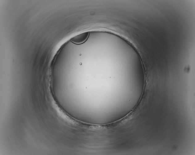 X0000114191526200910231309