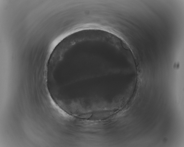 X0000114191527200910231309