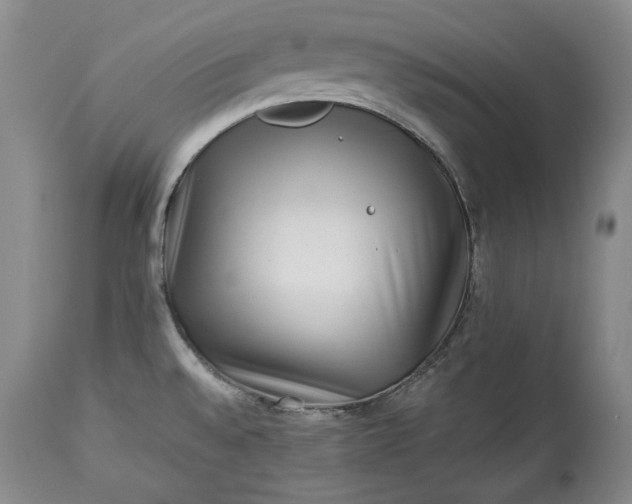 X0000114191528200910231309
