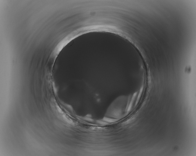 X0000114191529200910231309
