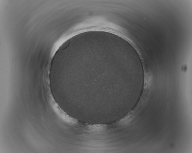 X0000114191530200910231309