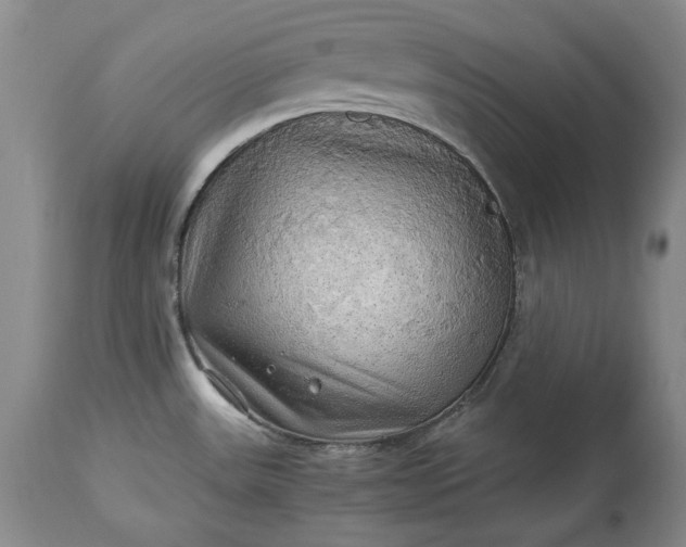 X0000114191531200910231309