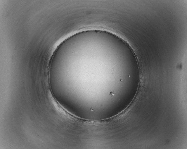 X0000114191534200910231309