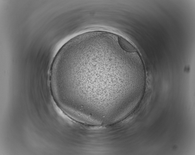 X0000114191535200910231309