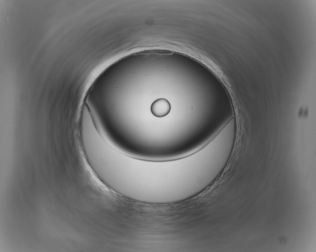 X0000114191536200910231309